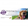 Marietta Doggy Daycare