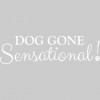 Dog Gone Sensational