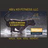 KB'S K9 Fitness