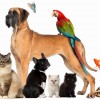 S & S Pet Supplies