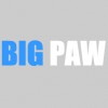 Big Paw Pet Care