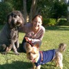 San Gabriel Valley Pet Care