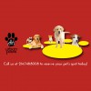 Urban Paws