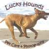 Lucky Hounds Dog Boarding