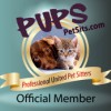 All Of Us Home & Pet Services