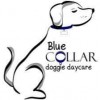 Blue Collar Doggie Daycare