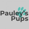 Pauley's Pups