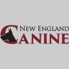 New England Canine