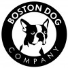 Boston Dog