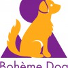 Boheme Dog