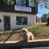 Paramus Puppy Spa