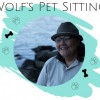 Wolf's Pet Sitting