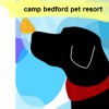 Camp Bedford Pet Resort