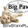 Big Paw Pet Care