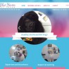 Blue Haven Pet Salon