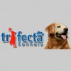 Trifecta Kennels Gilbert