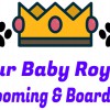 Fur Baby Royal Grooming & Boarding