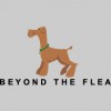 Beyond The Flea