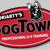 Moriarty's Dogtown