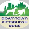 Downtown Pittsburgh Dogs