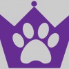 Royal Paws Pet Sitting