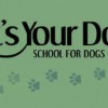 It's Your Dog School For Dogs