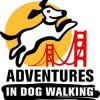Adventures In Dog Walking