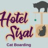 Hotel Sisal Cat Boarding