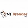 NY Breeder