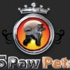 5 Paw Pets Brickell